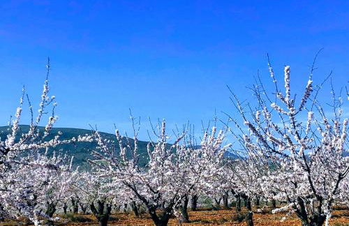 La Era de Alcántara - Foto 29