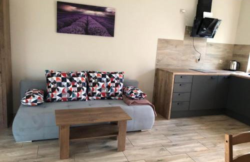 domki pod Jesionem Sławianowo nad jeziorem - Foto 13