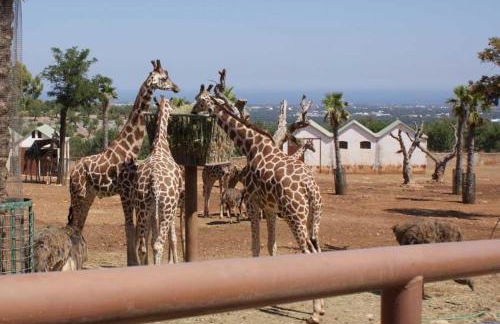 Vacanze in Puglia - Foto 19