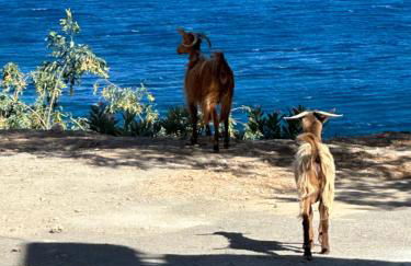 House With View - Foto 38