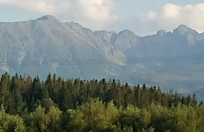 Domki Dream House Jędruś - Foto 38