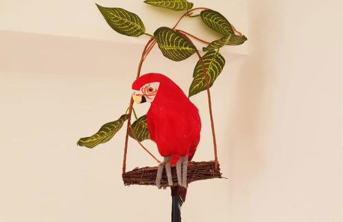 Parrot’s House - Foto 36