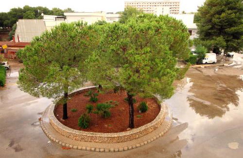 Appartamenti Rivabella D - Photo 9