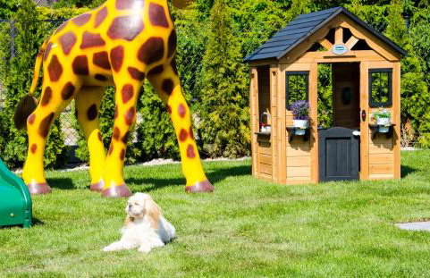 PRZYSTANEK G&S - Foto 22