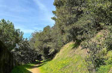 Private Oakland Hills Guest Apartment - Foto 38