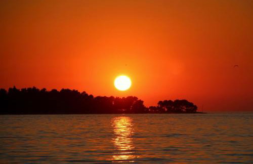 Apartments Villa Rosa - Foto 24