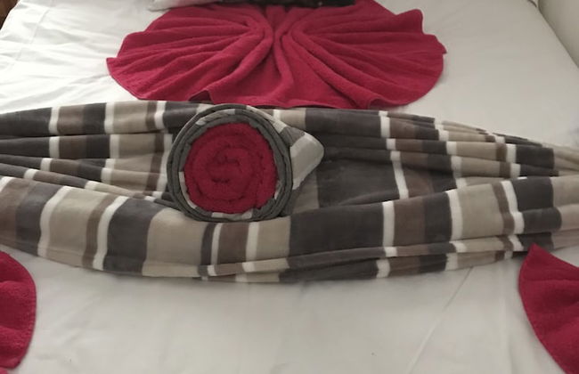 Farm Stays, Here you Will be Able to Relax and Enjoy the Beauty of Nature - Foto 22