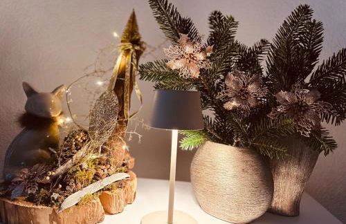 "TiMia" Nähe Europa Park und Rulantica Rust- Klima-Netflix - Foto 23