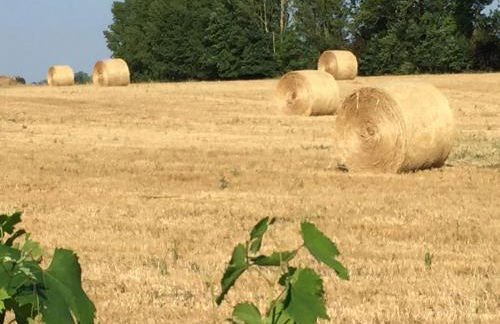 Le BrenSol - Photo 19