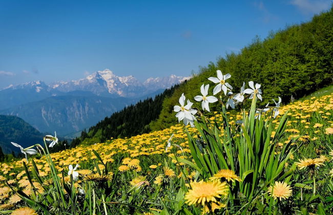 Homestead Metul Pool Suite 2 - Foto 22