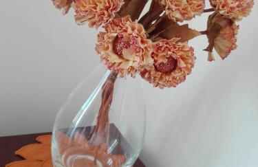 Zen Caniço Apartment - Foto 22