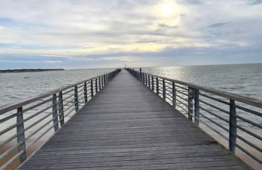 LES EMBRUNS - Photo 62