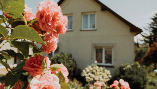 Noclegi na Wzgórzu Sopotnia Wielka - Foto 5, Garden