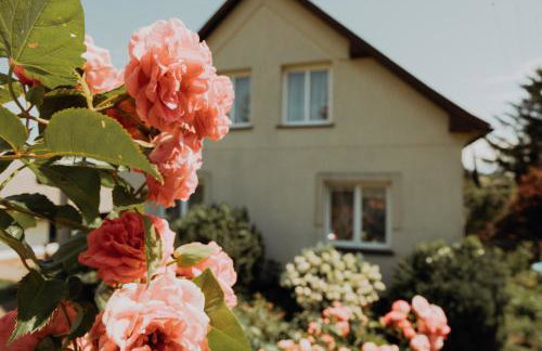 Noclegi na Wzgórzu Sopotnia Wielka - Foto 5