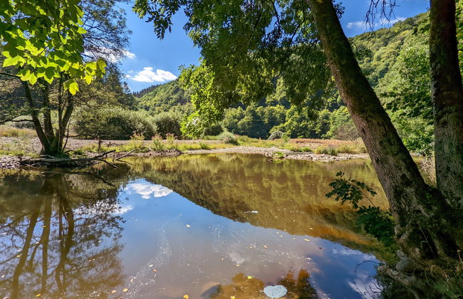 3 bedroom House in Parc Hosingen with terrace - Photo 12