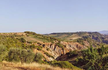 Masseria Crocco - Foto 22