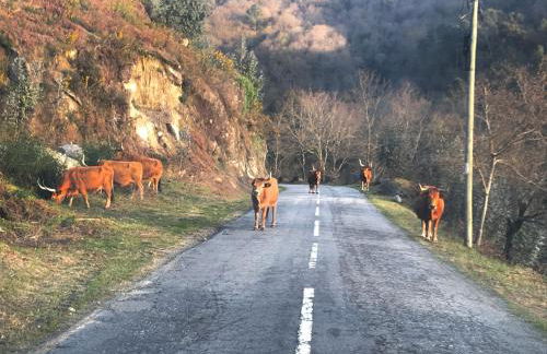 Villa Garcia - Foto 79