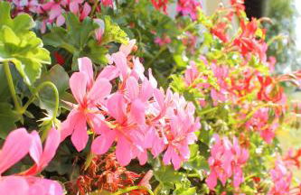 Ferienwohnung Gerolstein - Foto 16