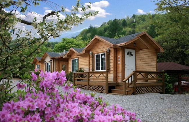 Hurb Green - Foto 62