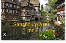 Grand appartement au cœur de la région alsacienne - Photo 73