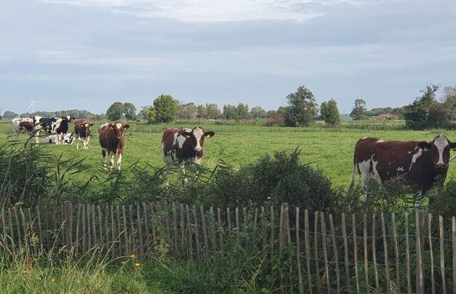 Holiday Home Chalet Wilde Wiese - Foto 22