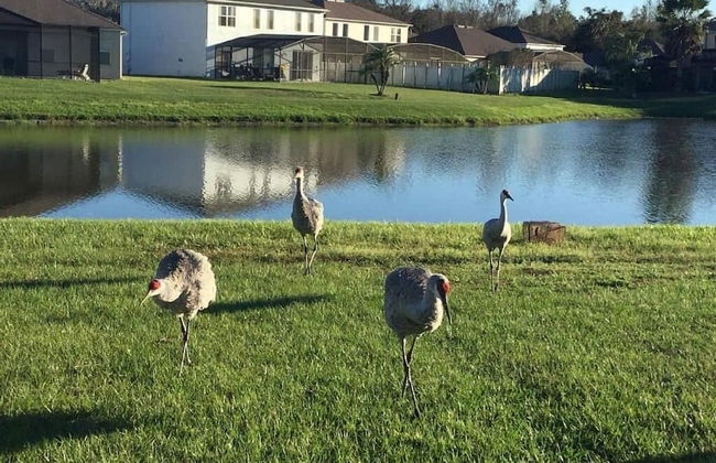 Alamo Vacation Townhomes - Foto 56