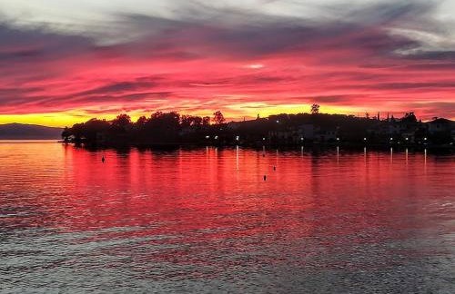 Yard of Epicurus - Η Αυλή του Επίκουρου - Foto 46