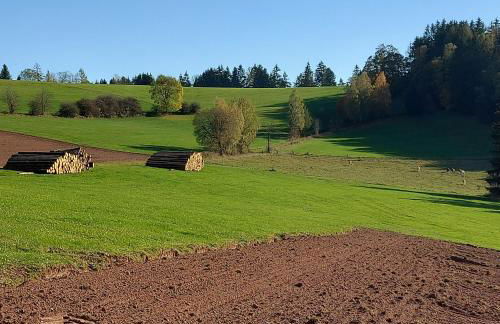 Ferienwohnungen Lahmenhof - Foto 29