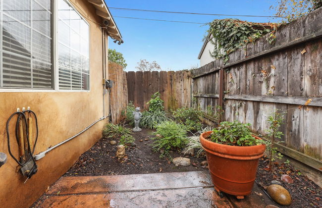 Sequoia Park CA Coast Wineries Skiing-All Day Trips from Comfy Apt - Foto 11