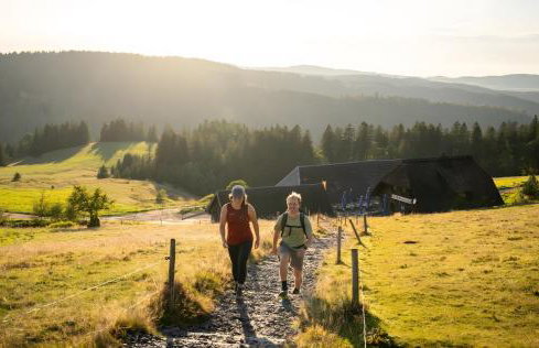 Ferienhaus Wendelhof - Foto 8