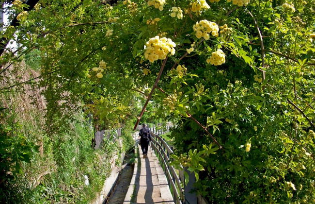 Majestic Apartment in Meran - Foto 13