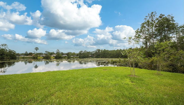 Servicios del alojamiento