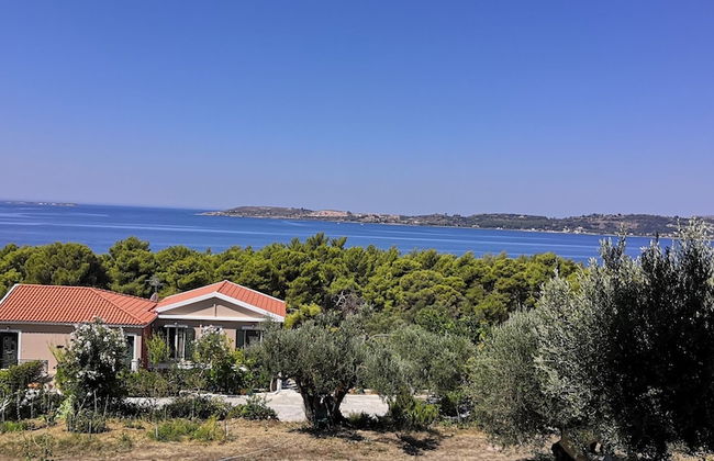 Seapine Studios - Foto 5