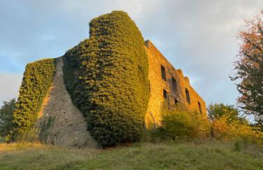Ferienhaus Eifelstuben mit Charme - Bauernstube Vulkaneifel - Nähe See und Burgruine - Photo 75