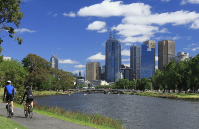 Birches Serviced Apartments - Foto 24