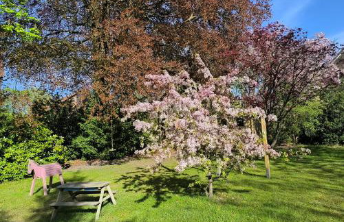 Ferienhaus Heidefee - Photo 42