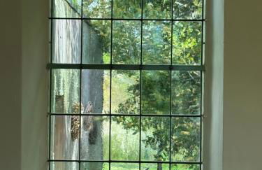 Chapelle Blóm - Photo 7