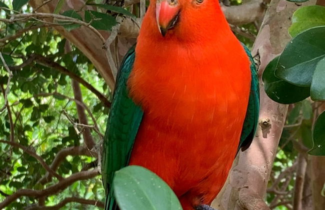 Glass On Glasshouse - Foto 48