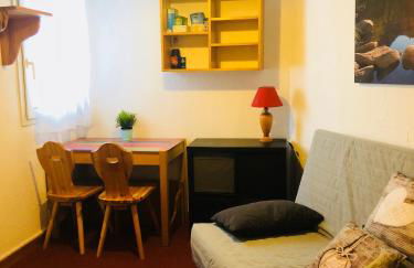 Les deux Alpes studio - Photo 1