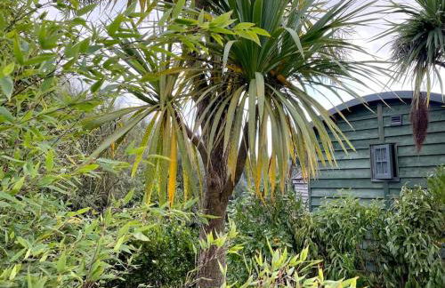 Romantic Retreat - Luxury Shepherds Hut + Hot Tub! - Foto 31