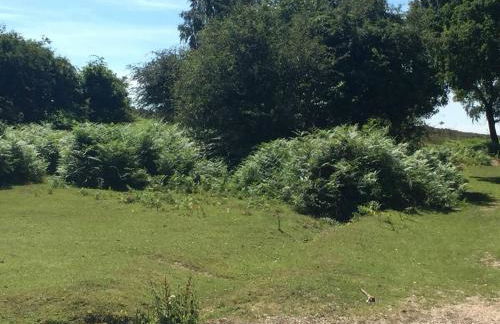 Railway Junction cottages - Foto 43