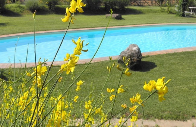 Borgo Santa Maria Privat Pool Wifi - Photo 4