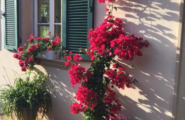 Zum Hermannsberg - Foto 19