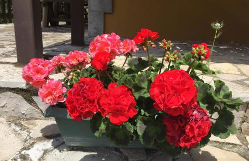 El Portiellu - Foto 44