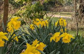 Luxury Shepherds Hut on Powis House Estate - Foto 19