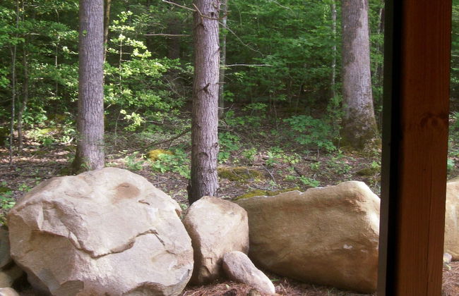 White Oak Lodge & Resort - Foto 8