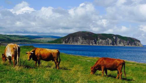 Rural Farmhouse on Kintyre, West Coast hidden gem - Foto 2