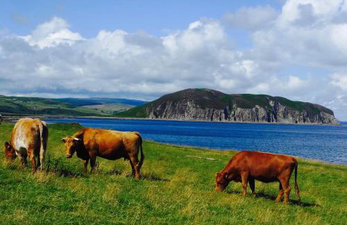 Rural Farmhouse on Kintyre, West Coast hidden gem - Foto 2