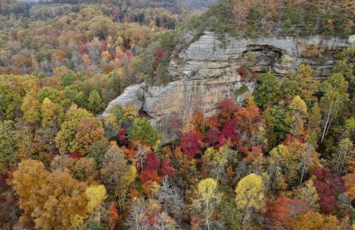 Alice Rocks - Pet Friendly, Firepit, WiFi - Foto 25