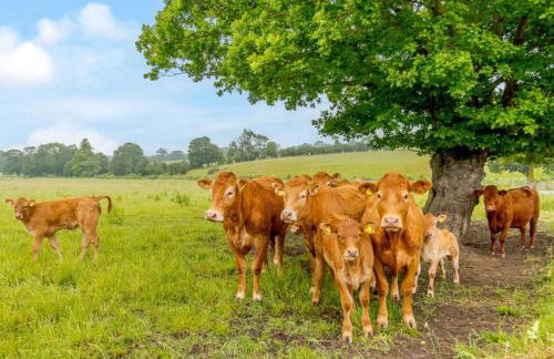 4 Bed in Bramfield oc-sfbri - Foto 16